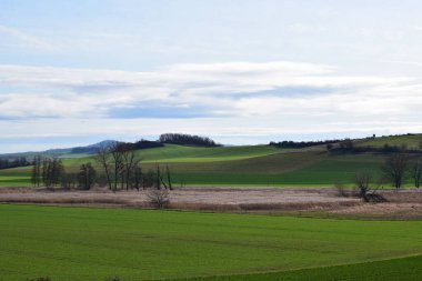 Ağaçlı ve tepeli bahar tarlası