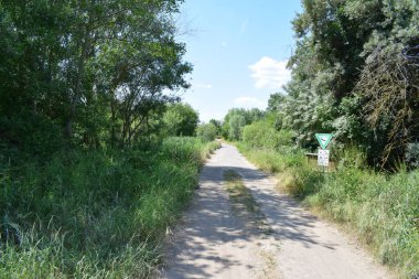 Yazın kırsalda yol