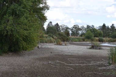 Almanya 'nın kırsal kesiminde kurumuş göl
