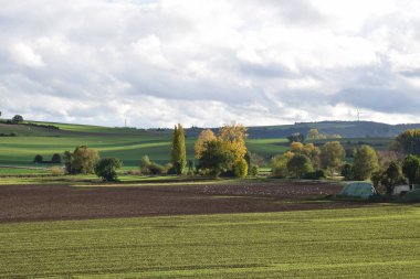 Yeşil çimenli sonbahar manzarası