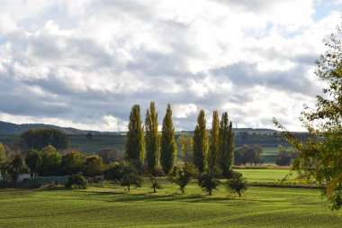 Arka planda yeşil çimenler ve ağaçlarla dolu sonbahar manzarası