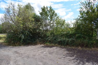 Ormandaki park yerinde.