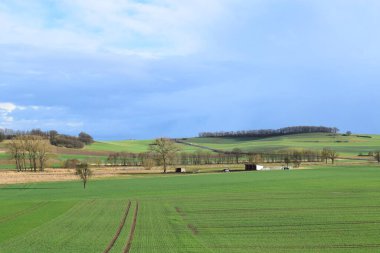 yeşil alan ile peyzaj