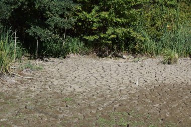 Yaz kuraklığında kurumuş göl.