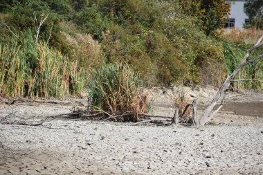 Yaz kuraklığında kurumuş göl.