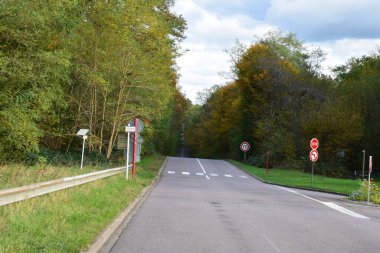 Sonbaharda ormanda yol, Lorraine.