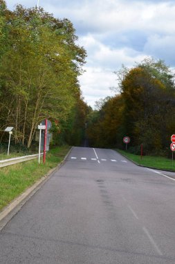 road sign on a background of a cloudy autumn forest. clipart