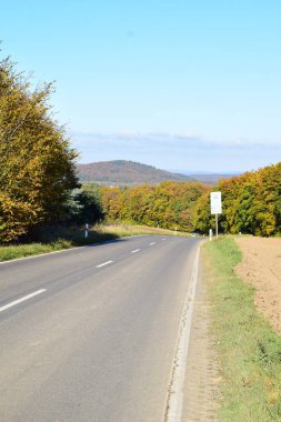 Güzel sonbahar ormanı manzarası