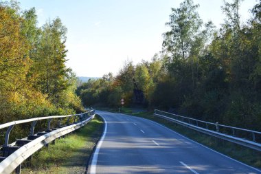 Ormanda asfalt yol