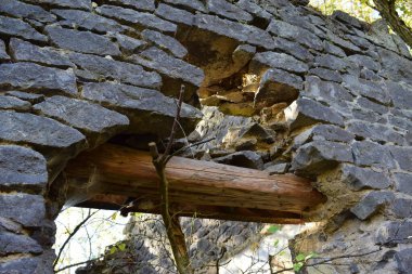 Ormanda taş merdivenler.