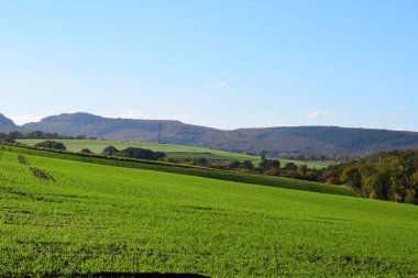 Mavi bulutlu gökyüzü ve yeşil tarlası olan güzel bir manzara.