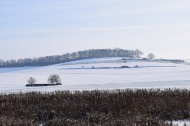 Bir tarlası ve karla kaplı bir yolu olan kış manzarası