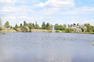 Göl ve ormanlı güzel bir manzara.