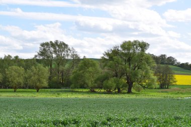 Tecavüz alanıyla manzara