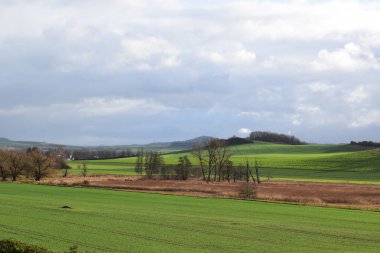 Alman Muensterland 'inde manzara