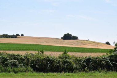 Kırsal kesimde manzara