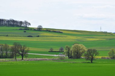 Mavi gökyüzü arkaplanlı güzel yeşil alan.