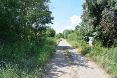 Kırsal kesimde kırsal yol