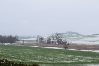 beautiful winter landscape, nature background