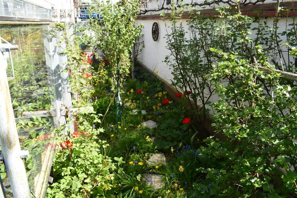 Baharda çiçekli bahçe.