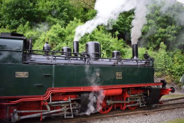 Ormanda eski bir buhar makinesi