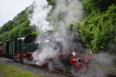 Ormanda tren, tren istasyonu