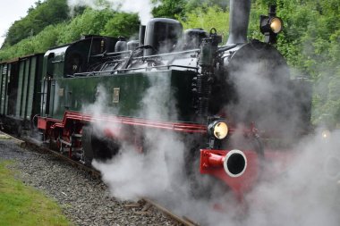 dağlarda buhar treni