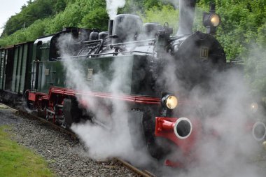 Buharlı lokomotif, ormandaki tren.