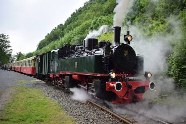 Dağlardaki buhar treni.