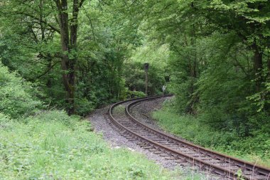 Demiryolu parça ve ağaçlar