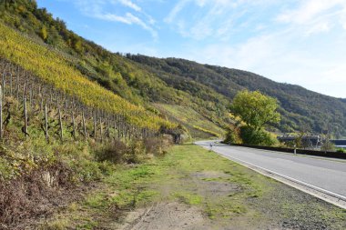 Mosel Vadisi 'nde sonbahar