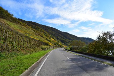 Renkli ağaçlarla dolu güzel sonbahar manzarası