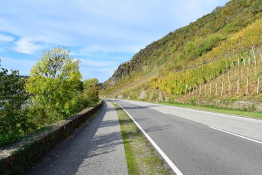 Sonbaharda Mosel Vadisi 'nde yol