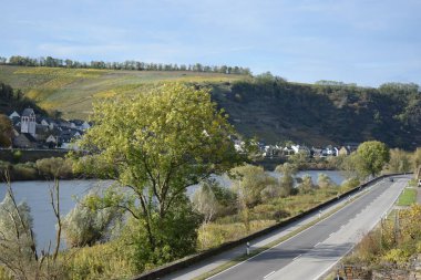 Sonbaharda güzel Mosel Vadisi manzarası