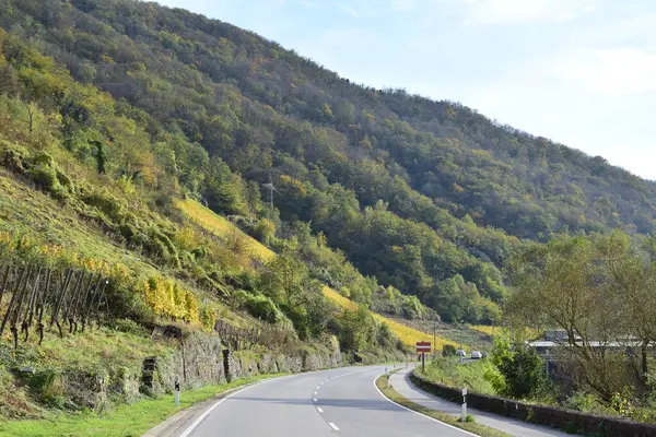 Ekim ayında Mosel Vadisi 'ndeki dağ yolu