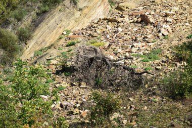 Büyük doğal çevrenin sıradağları.