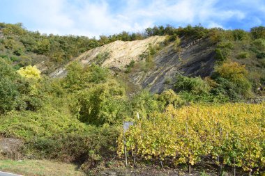 Doğanın güzel manzarası