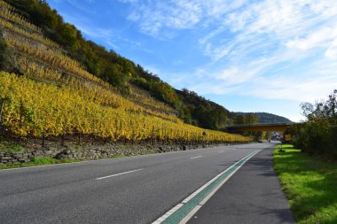Sonbahar manzarası bir yol ve güzel bir gökyüzü