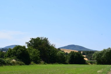 Yazın kırsal alan manzarası