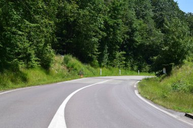 Lorraine Ormanı 'nda yol