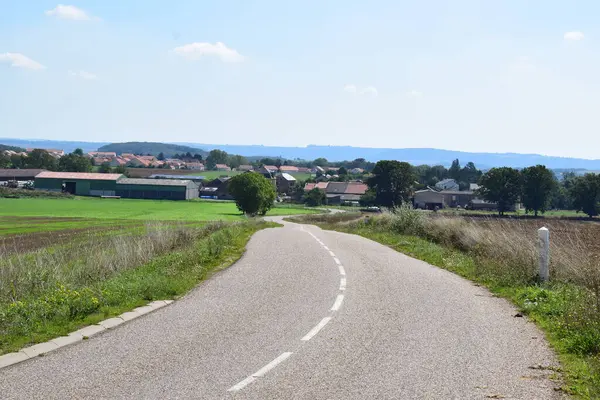 Köydeki çayırların ve tarlaların arasından geçen köy yolu.