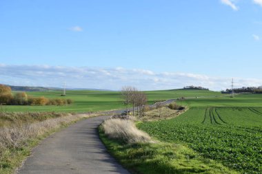 Çimen tarlası ve bulutlu gökyüzü olan güzel bir manzara.