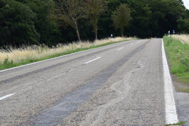 Yazın yeşil ağaçlar ve ağaçlarla dolu kırsalda boş bir yol.