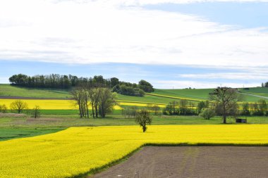Tecavüz ve mavi gökyüzü