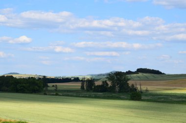 Arka planda yeşil çimlerden oluşan güzel bir arazi.