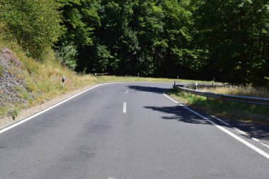 Asfalt yol ve ormandaki ağaçlar