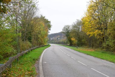 Sonbahar ormanında yol