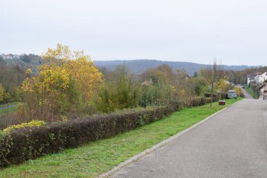 Renkli ağaçlar ve yapraklarla dolu sonbahar manzarası