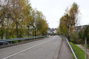 Sonbahar ağaçlı yol