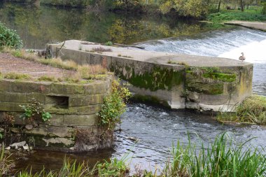 a large stone on the river clipart